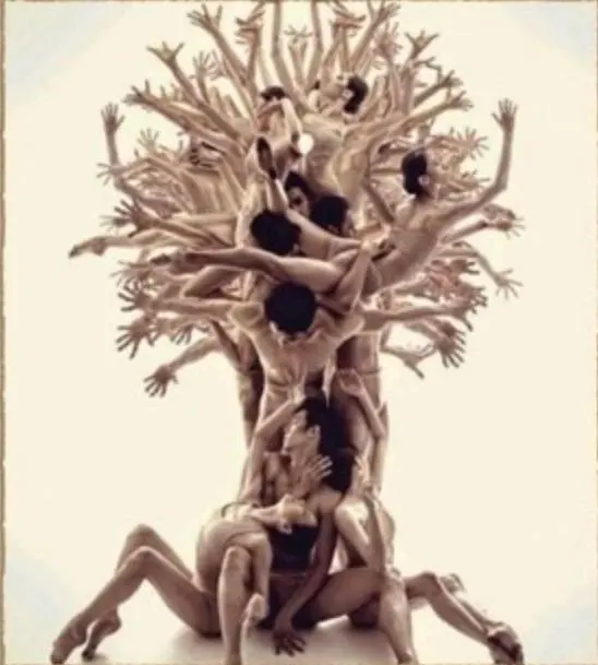 Persone unite come i rami e le radici di un unico albero
